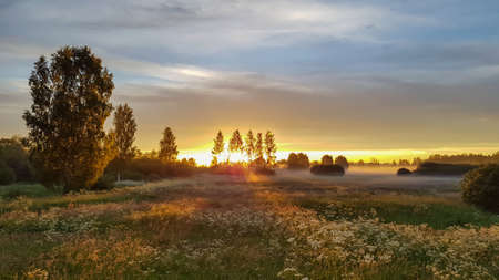amazing summer morning sunrise over a field meadow with orange sun shining through the trees. The meadow is covered with white mist. Summer landscapeの写真素材