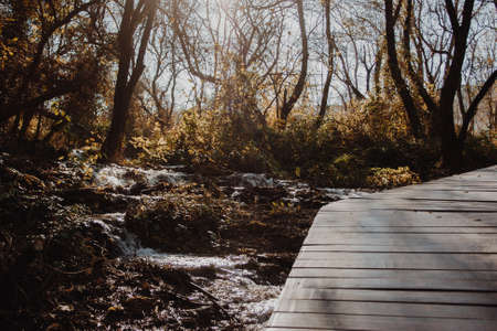 Wooden path in the forest and through a waterfall in Croatia. Beautiful green trees and grass.favorite place for touristsの写真素材