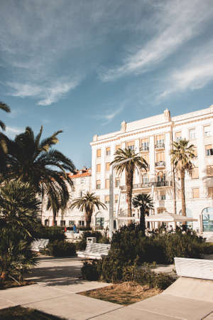 Beautiful park in the city of Croatia with palm trees and green bushes. Street viewの写真素材