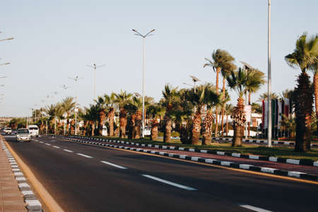 Beautiful view of the street in Egypt with a palm tree alley. Transport street with asphalt road. Sunny summer day with blue sky. Landscapeの写真素材