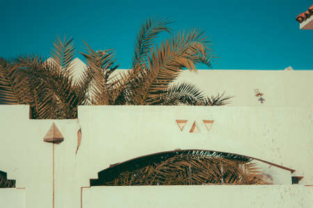 The entrance arch of a white concrete building in Egypt with palm leaves growing through it. Blue...