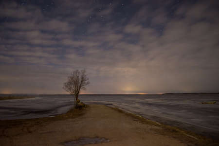 one lone tree on the lake shore at night with starry skies and clouds. Access road to the lake. Night landscape. Long exposureの写真素材