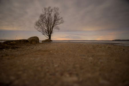 one lone tree on the lake shore at night with starry skies and clouds. The northern lights are visible on the horizon. Access road to the lake. Night landscape. Long exposureの写真素材