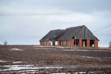 old abandoned red brick building in a rural area with a collapsed wooden roof and cracked bricks. a cereal field and a blue sky next to the building. spring landscapeの写真素材