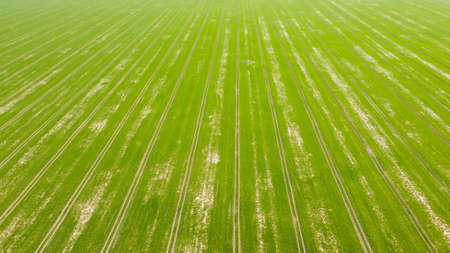 aerial view over the green fields of early summer and the double carriageway from the air. summer...
