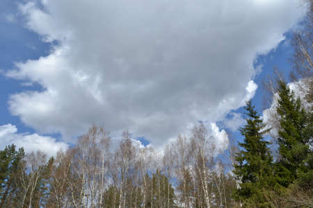 large storm cloud announces the approaching storm and the storm. Summer landscapeの写真素材