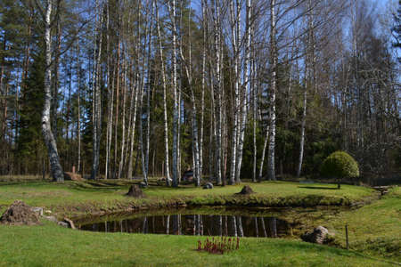 pond in a recreation area in the woods with red herbs on a warm summer day. Summer landscapeの写真素材
