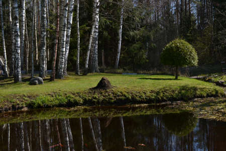 pond in a recreation area in the woods with red herbs on a warm summer day. Summer landscapeの写真素材