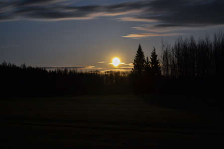 Night mysterious landscape in cold tones - silhouettes of the bare tree branches against the full moon and dramatic cloudy night sky. Night photographyの写真素材