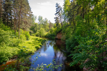 view to the mountain river in summer surrounded by forest and sandstone cliffsの写真素材