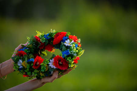 Midsummer in Latvia: celebration of Ligo - a young woman weave a wreath and collect field flowersの写真素材