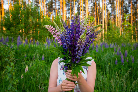 faceless beautiful girl with bouquet of bloom flowers lupines in a field in nature outdoorの写真素材