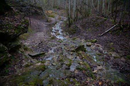sandy rock along which flows a clear forest spring water forming a waterfall. Stones with green...