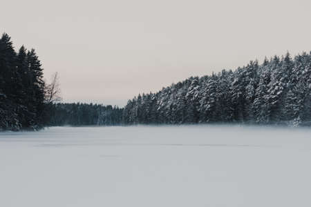 Beautiful winter landscape nature snow forrest scene at outdoor backgroundsの写真素材