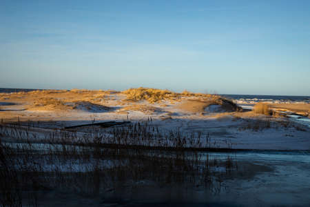 Dunes by the sea with orange reeds on a sunny winter day with blue skies.の写真素材