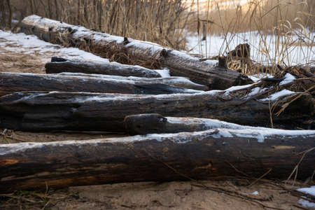 Washed trees from the sea to the footpaths that block the road. Snow covered.