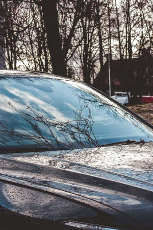 Reflection of wooden branches in the car windshield. A car with raindrops after the rain.の写真素材