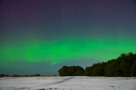 intense northern lights aurora borealis over beach in Latviaの写真素材
