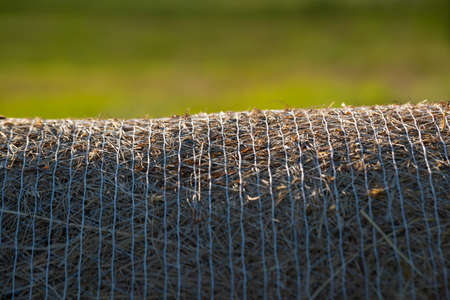 Texture of wheat straw. Close-up, front view. Dried hay on rolls in the field. Large roll of hay shot frontally. Close up of large round rolls of hay.Natural sunlight. Outdoorsの写真素材