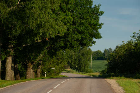 asphalted country road with a bend under huge oak trees illuminated by the warm light of the summer sunset.の写真素材