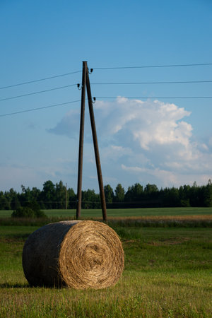 roll of hay in a freshly cut crop field next to a wooden electricity pole. Shine in the sunset light.の写真素材