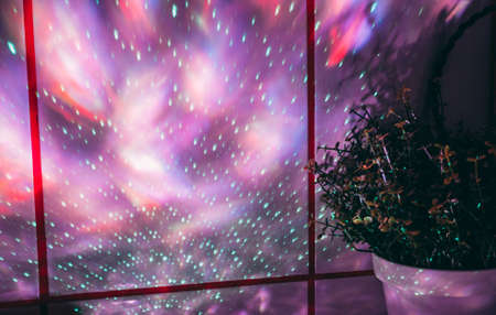 green indoor plant in a white flower pot near white tiles on which the club's led laser light is...