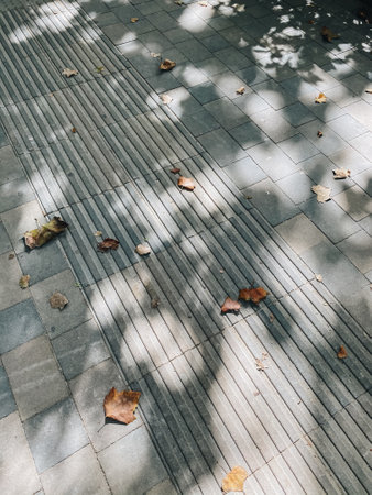 Pedestrian sidewalk with pavement covered with orange autumn leaves and shadows cast by trees.