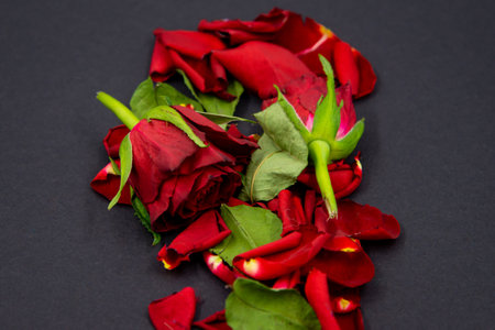 Close-up of red rose flowers and green leaves on a black background.