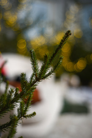 Close-up of green fir tree branch with needles with yellow christmas lights on bokeh background.の写真素材