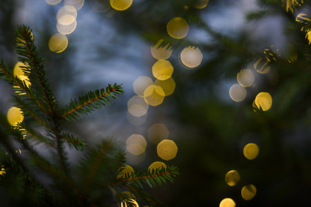 Black background with golden light effects. Horizontal background with blur bokeh effects for christmas time. Special occasion concept with space for text.の写真素材
