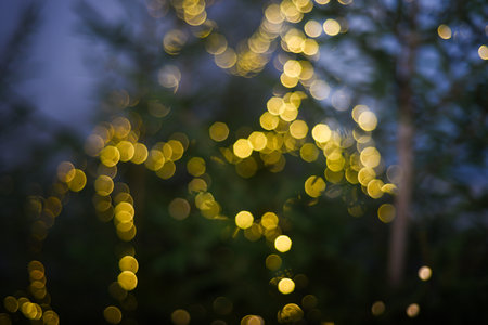 Black background with golden light effects. Horizontal background with blur bokeh effects for christmas time. Special occasion concept with space for text.の写真素材