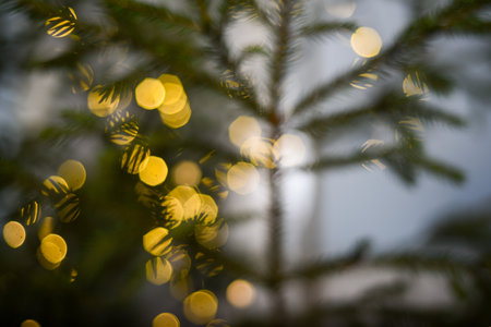 Black background with golden light effects. Horizontal background with blur bokeh effects for christmas time. Special occasion concept with space for text.の写真素材