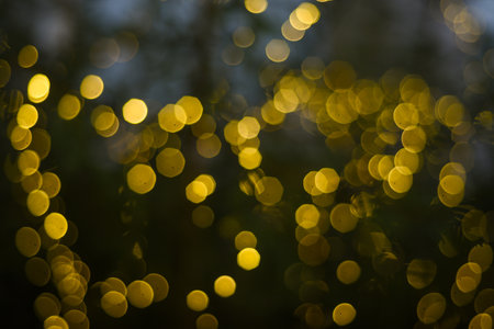 Black background with golden light effects. Horizontal background with blur bokeh effects for christmas time. Special occasion concept with space for text.の写真素材