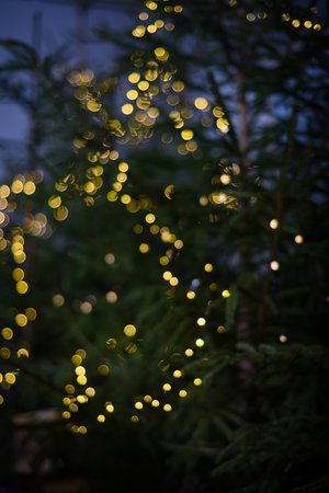 Black background with golden light effects. Horizontal background with blur bokeh effects for christmas time. Special occasion concept with space for text.の写真素材