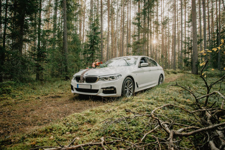 Riga, Latvia - October 6, 2018: Elegant white luxury sedan decorated with flowers parked in a serene...