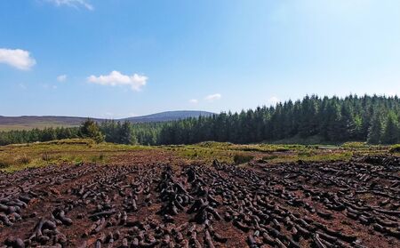 Turf on Slieveanorra Mountain Glenariff Glenariffe Waterfoot  Co.Antrim Northern Ireland
