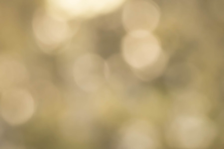 warm light blur and bokeh for backgroundの写真素材