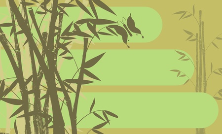bamboo background のイラスト素材