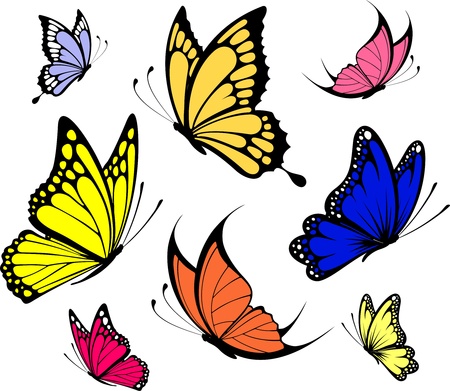 set of butterflies isolated on white background in vector format very easy to edit, individual objectsのイラスト素材