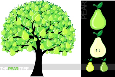 Illustration of a cartoon lemon tree isolated on white background, very useful for several concepts (font used is a のイラスト素材