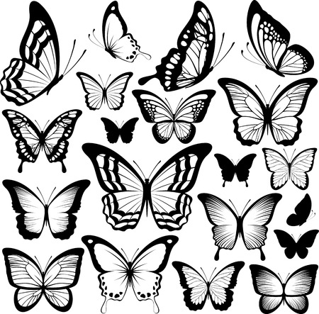 butterflies black silhouettes isolated on white backgroundのイラスト素材