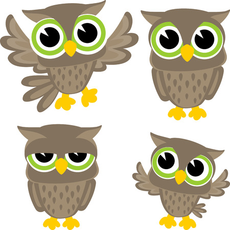 set of four cute owls isolated on white backgroundのイラスト素材
