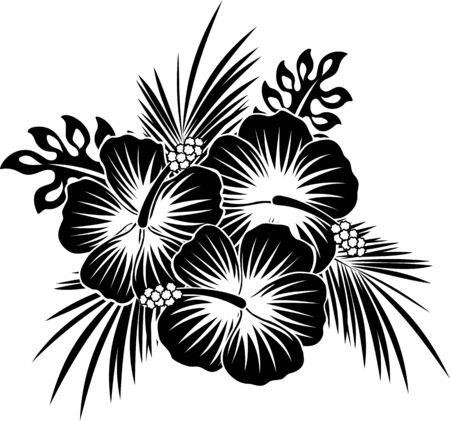 hibiscus flowers with tropical leaves in black and whiteのイラスト素材