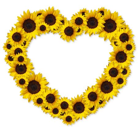 heart shape floral frame greeting card with sunflower flowers isolated on white background with copy space. Can be used for invitation or mothers day cardの写真素材