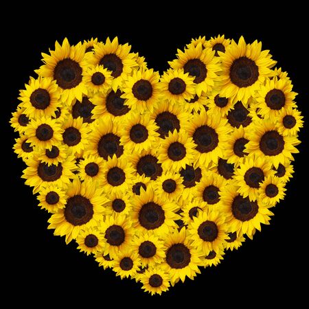 heart shape floral bouquet with sunflower flowers isolated on black background. Can be used for invitation or mothers day design element decorationの写真素材