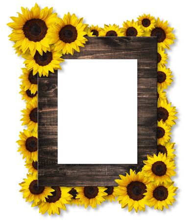 floral frame greeting card with sunflower flowers isolated on white background with copy space. Can be used for invitation or mothers day cardの写真素材