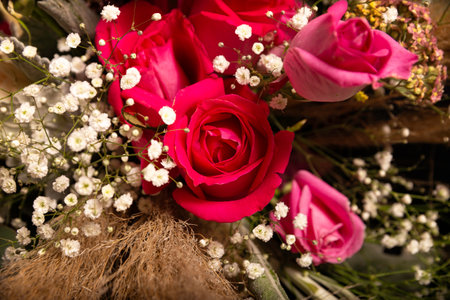 close up of red rose and foliageの写真素材