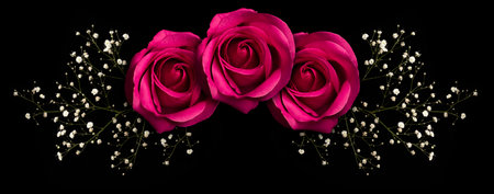 floral ornament with three pink roses and branch with little white flowers. Isolated on black backgroundの写真素材