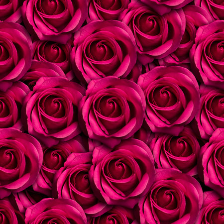 pink roses seamless pattern design. Can be tiledの写真素材