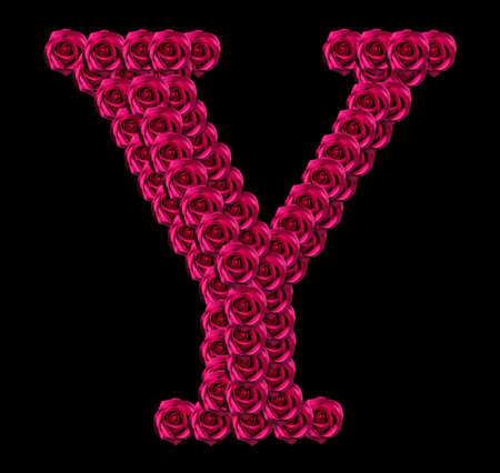 romantic concept image of a capital letter Y made of red roses. Isolated on black background. Design element for love or valentines themesの写真素材